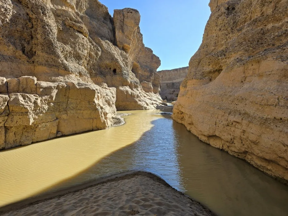 KakaoTalk_20250405_224233993_05.jpg?type=w1