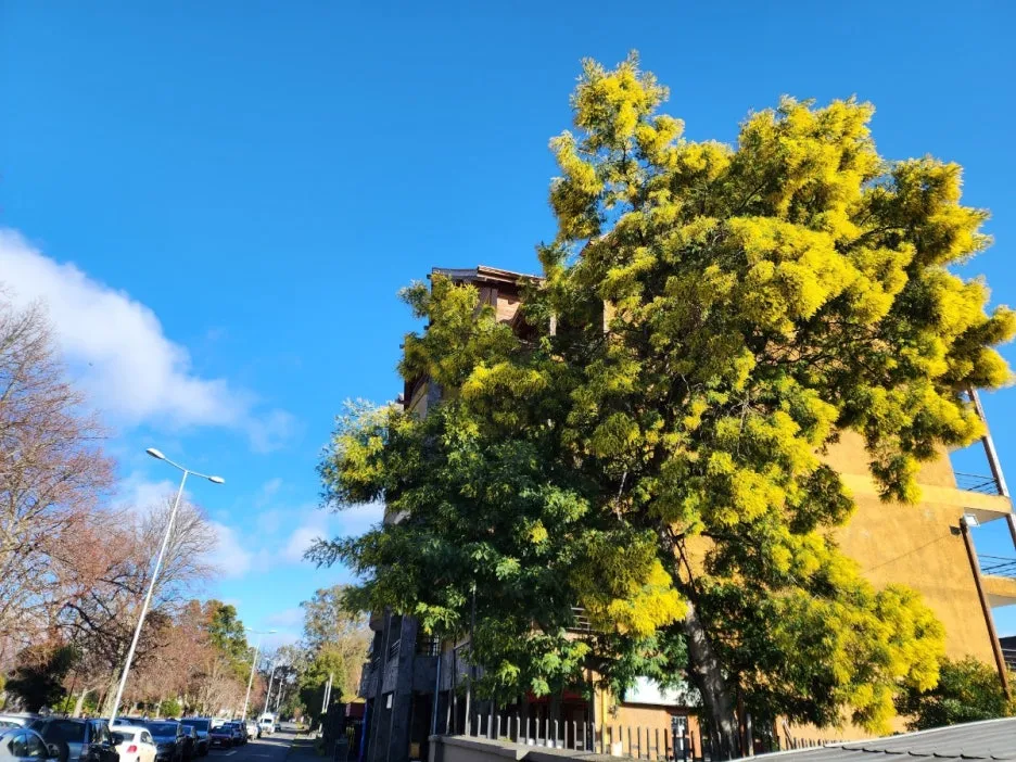 KakaoTalk_20240727_155208184_15.jpg?type=w1