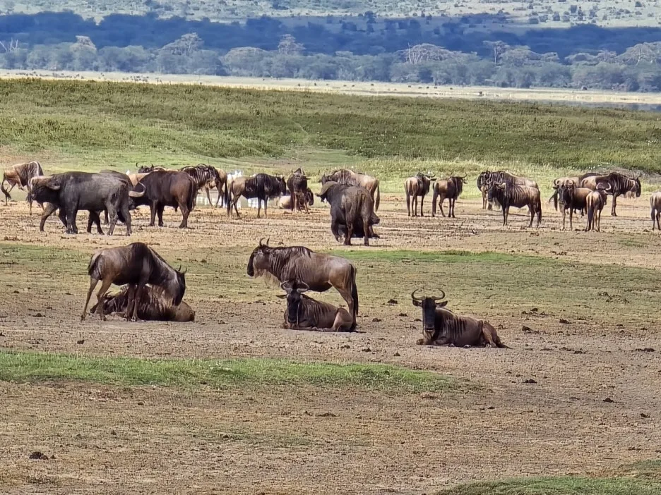 KakaoTalk_20250405_153555823_25.jpg?type=w1