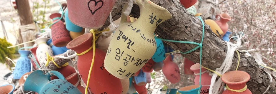 SE-98c3aadd-a46c-40e2-84f5-6e80415b2c86.jpg?type=w1