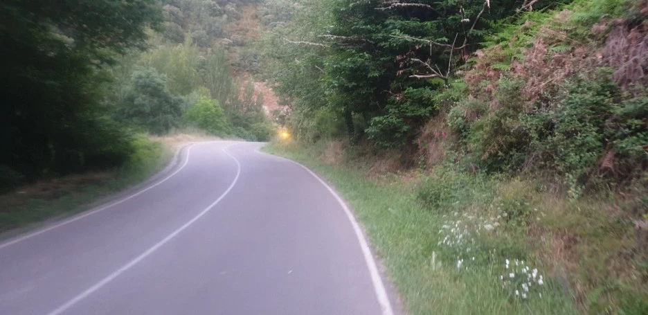 KakaoTalk_20220610_013120414_01.jpg?type=w1