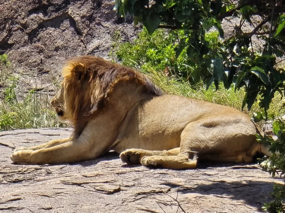 KakaoTalk_20250405_135250372_20.jpg?type=w1