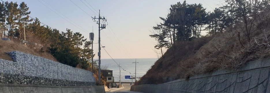 SE-0469806e-0c91-4da1-b92f-aced6ca79aed.jpg?type=w1