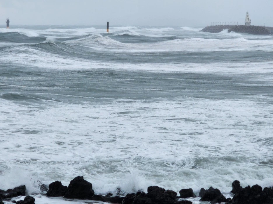 KakaoTalk_20221228_163918795_01.jpg?type=w1