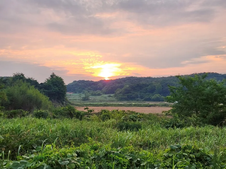 KakaoTalk_20240607_201223809_01.jpg?type=w1