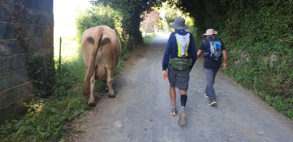 KakaoTalk_20220614_012949711_05.jpg?type=w1