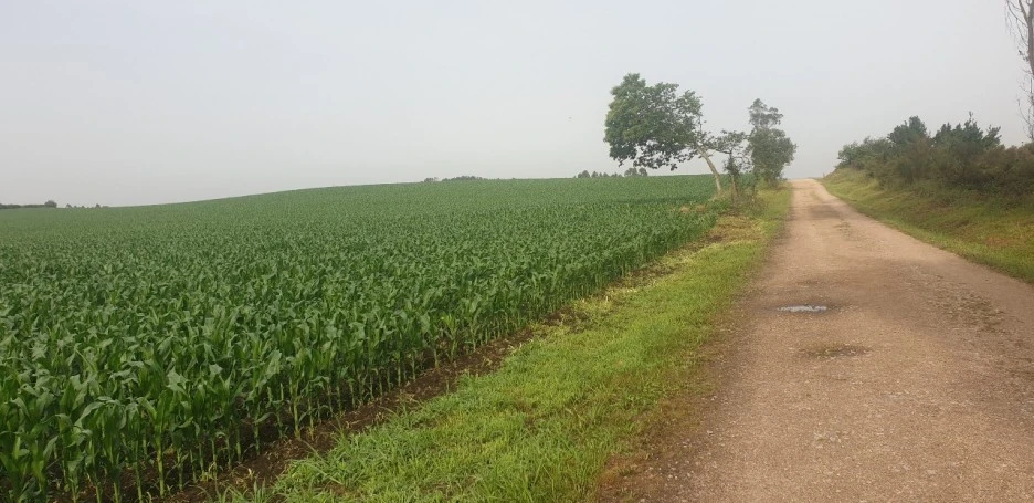 KakaoTalk_20220621_020901713_09.jpg?type=w1