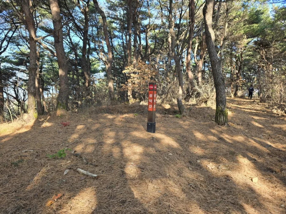 KakaoTalk_20241205_053804802_24.jpg?type=w1