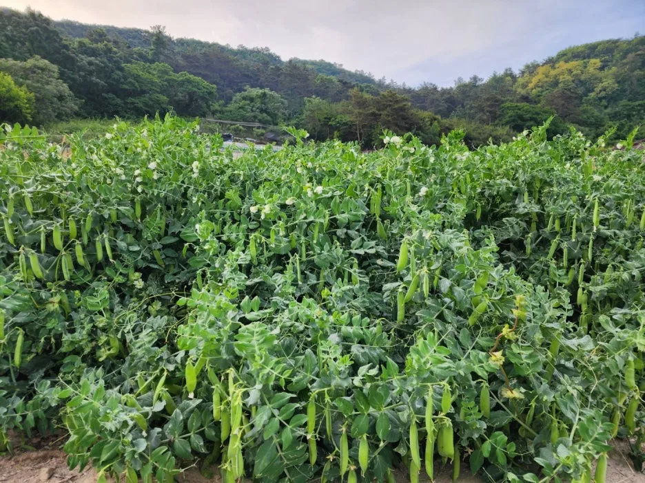 KakaoTalk_20240520_150332918_09.jpg?type=w1