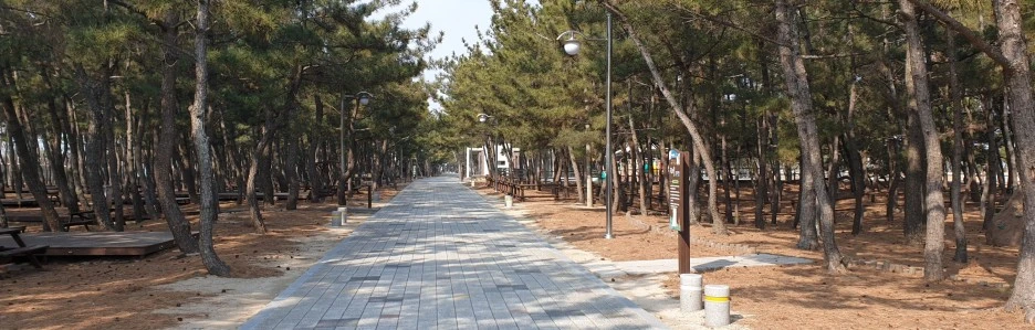 SE-ff2c6ed6-a60e-4540-994c-6e4283b4edac.jpg?type=w1