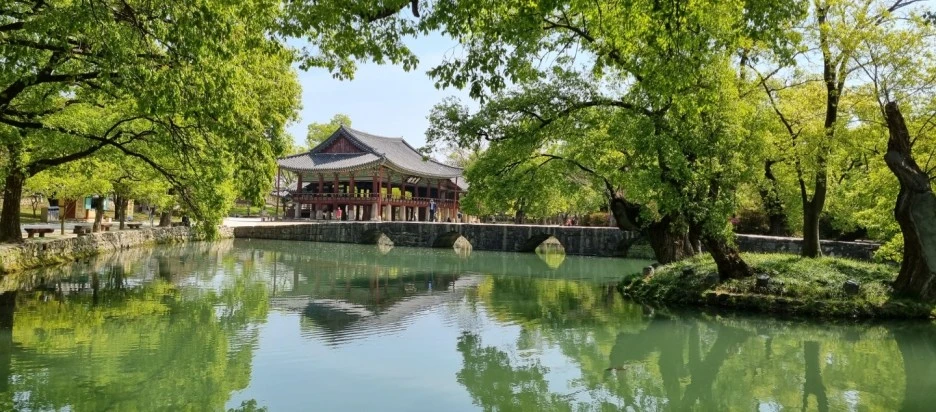 SE-8ff40d49-3ad1-4fe3-9a1c-7fdc3c839cb9.jpg?type=w1