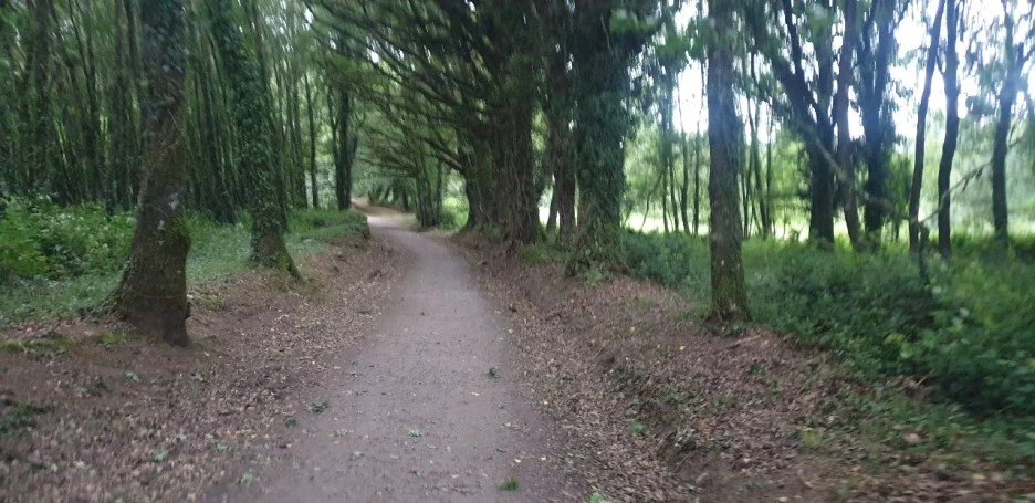 KakaoTalk_20220614_012409016_03.jpg?type=w1