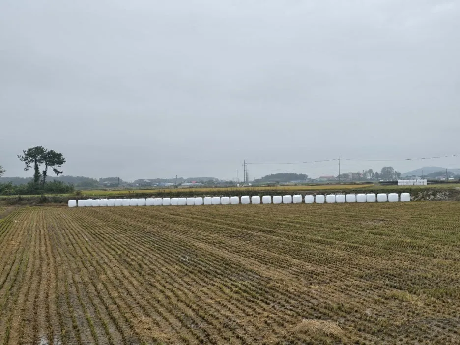 KakaoTalk_20241017_044845874_11.jpg?type=w1