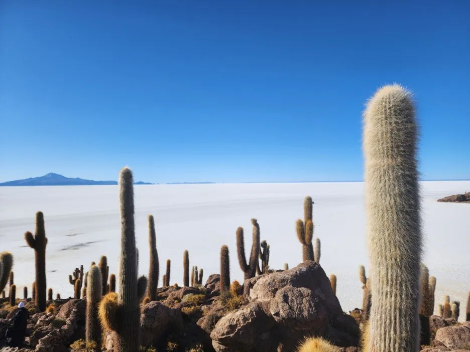 KakaoTalk_20240722_053759220_02.jpg?type=w1