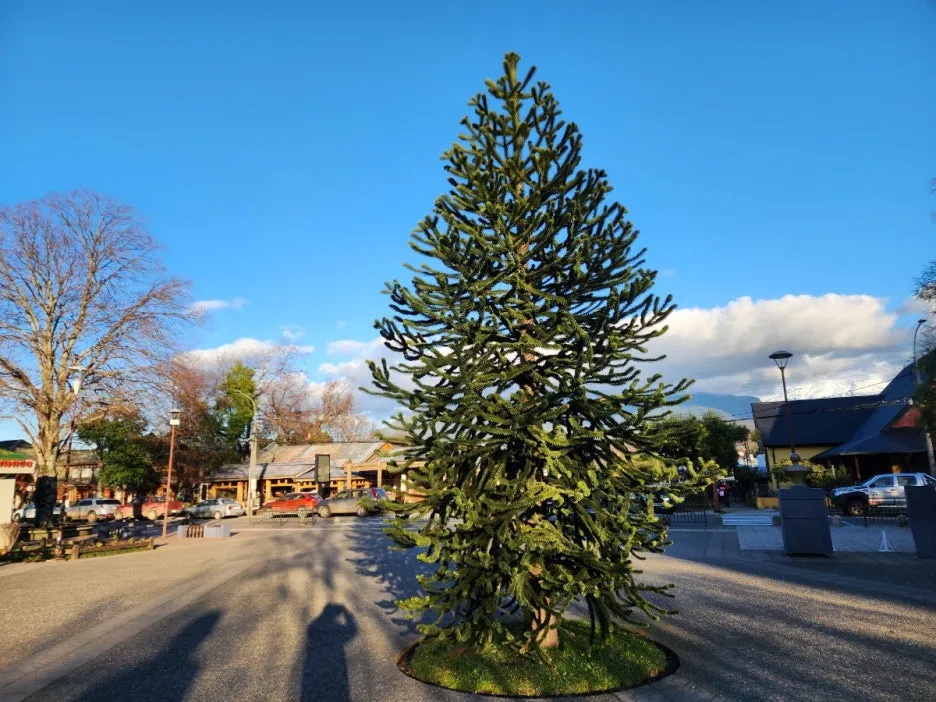 KakaoTalk_20240727_155440309_06.jpg?type=w1