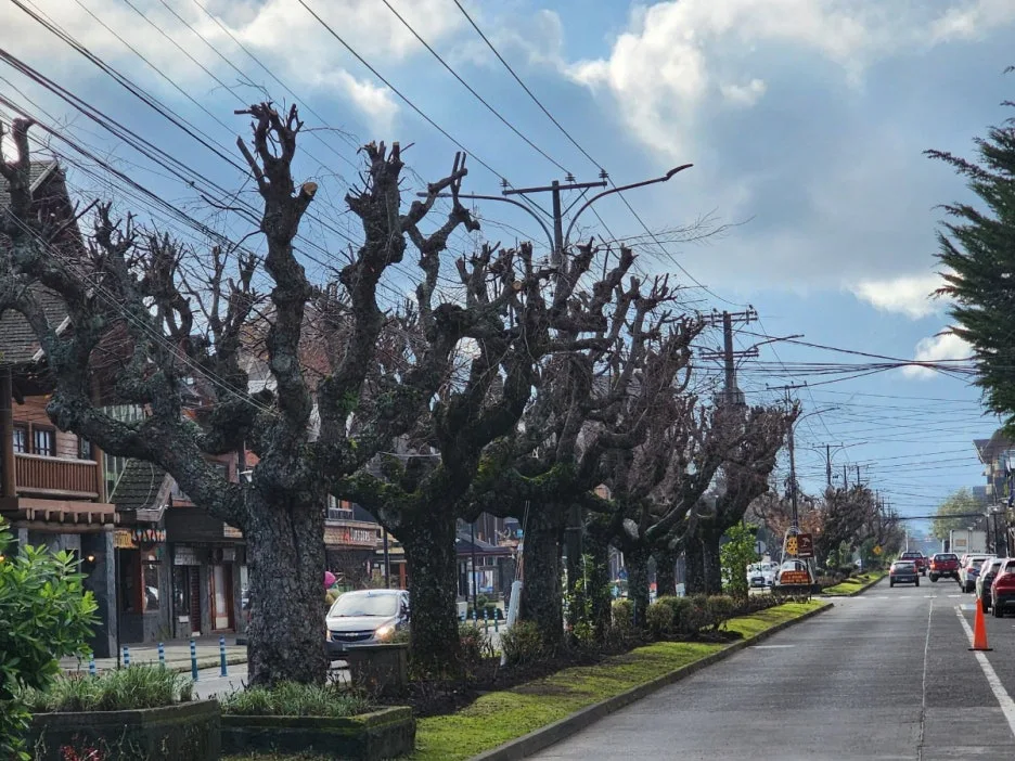 KakaoTalk_20240727_155208184_08.jpg?type=w1