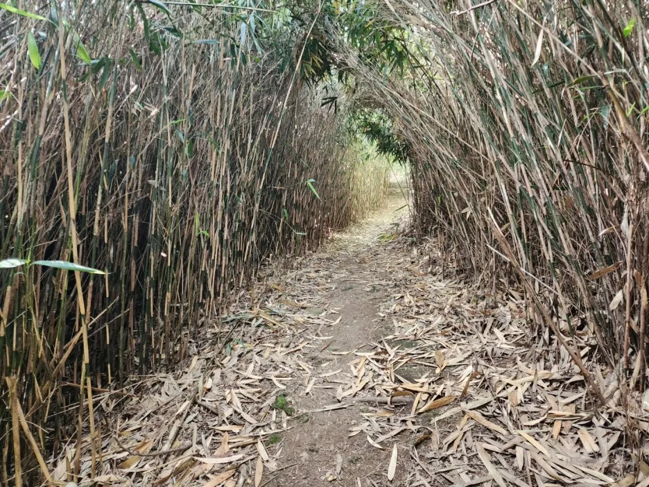 KakaoTalk_20240604_174216039_11.jpg?type=w1