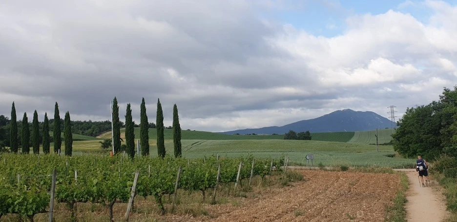 KakaoTalk_20220524_081633911_02.jpg?type=w1