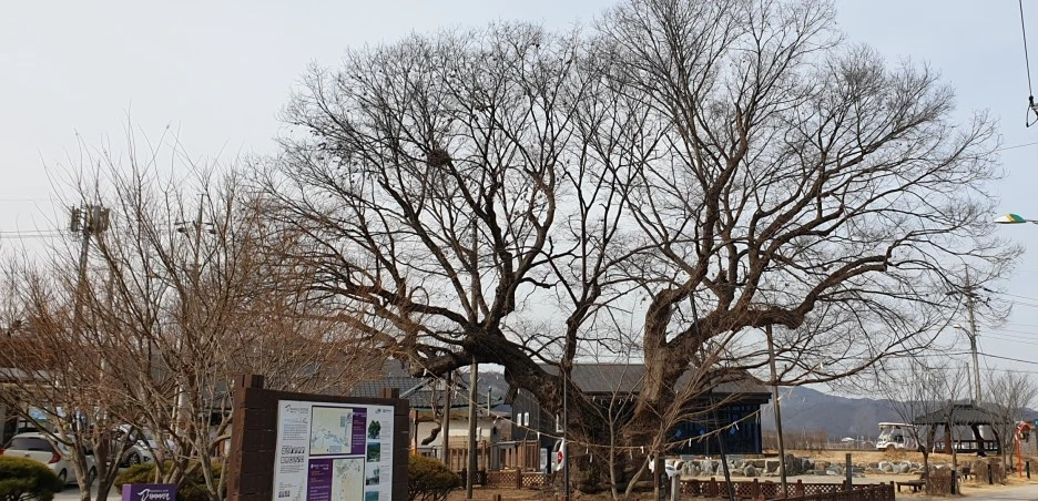 SE-1d2f140f-37a7-4fe0-98ea-26dd1288ef66.jpg?type=w1