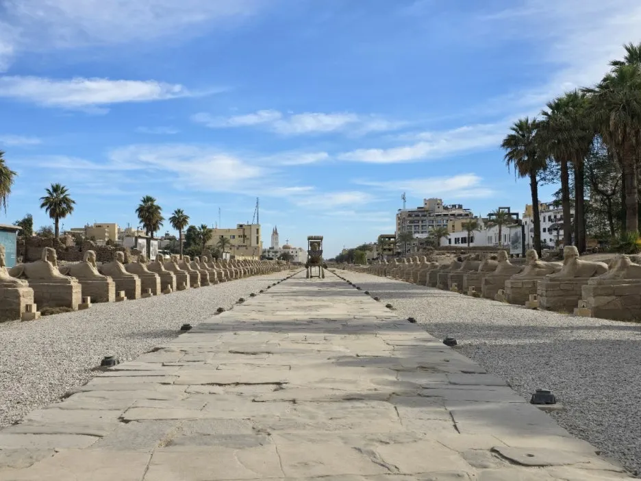 KakaoTalk_20250226_205251124.jpg?type=w1