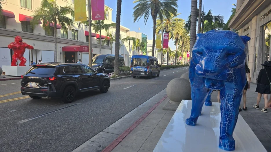 KakaoTalk_20250812_073125007_14.jpg?type=w1