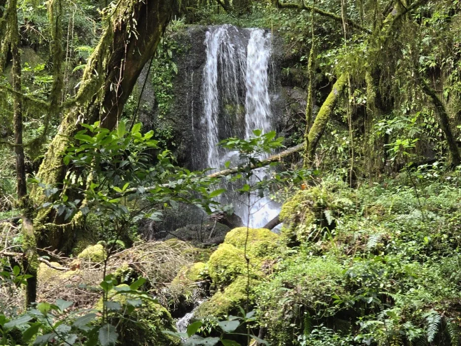 KakaoTalk_20250405_061148519_07.jpg?type=w1