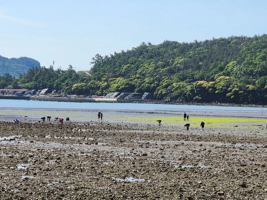 KakaoTalk_20240513_210116338_10.jpg?type=w1