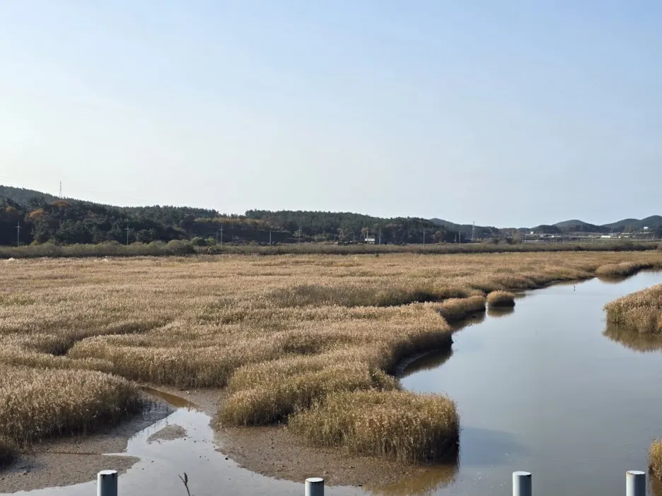 KakaoTalk_20241113_031257885_07.jpg?type=w1