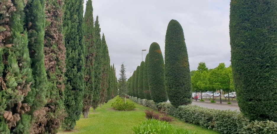 1653551496508.jpg?type=w1