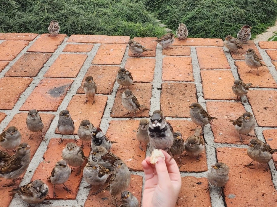 KakaoTalk_20230806_181057283_06.jpg?type=w1