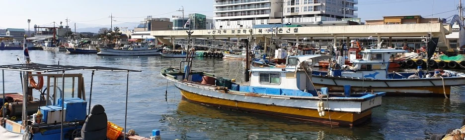 SE-be6a271d-6cdc-4d33-9450-d0cc38a0f813.jpg?type=w1