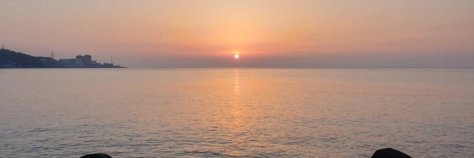 SE-41efacdd-042d-436c-b079-07a02c72825e.jpg?type=w1