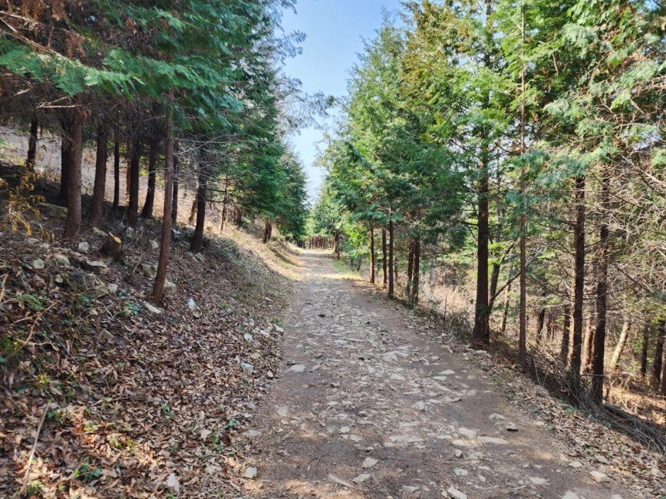 KakaoTalk_20230402_050707846_09.jpg?type=w1