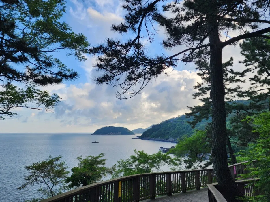 KakaoTalk_20240601_043900084_13.jpg?type=w1