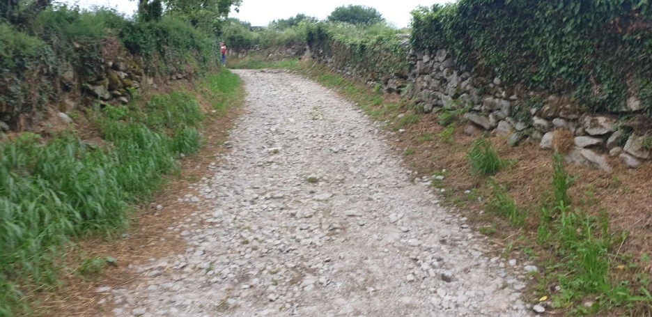 KakaoTalk_20220611_193404994.jpg?type=w1