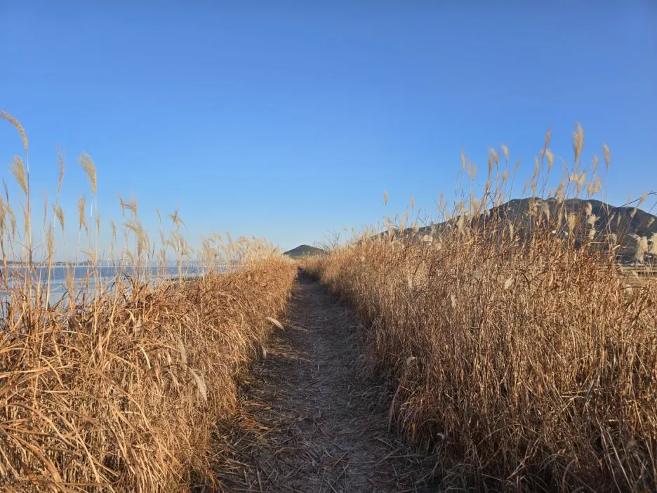 KakaoTalk_20241205_053804802_13.jpg?type=w1