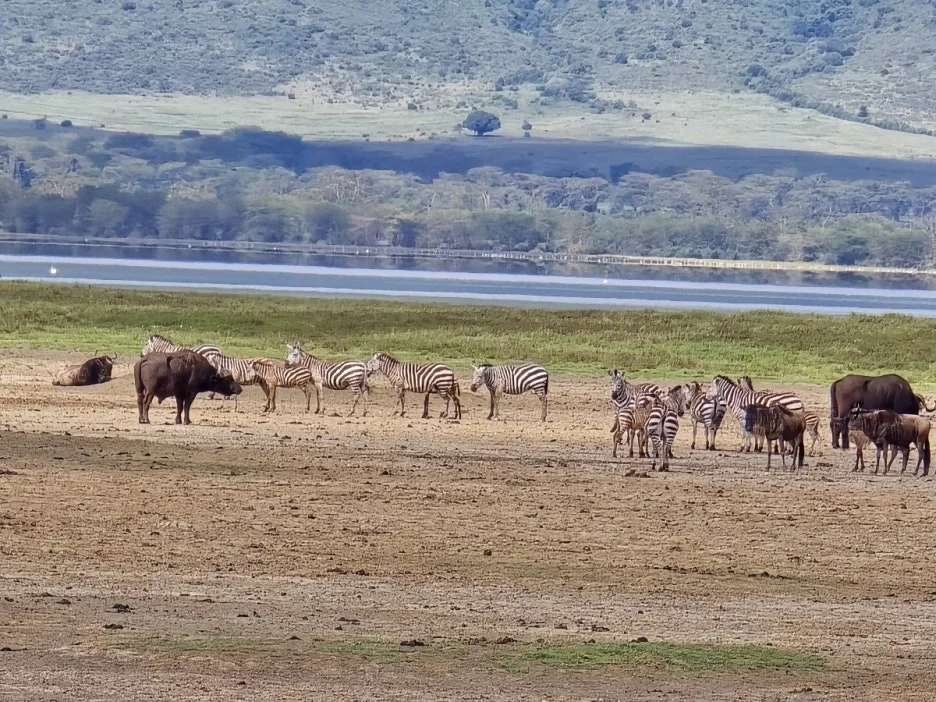 KakaoTalk_20250405_153555823_24.jpg?type=w1