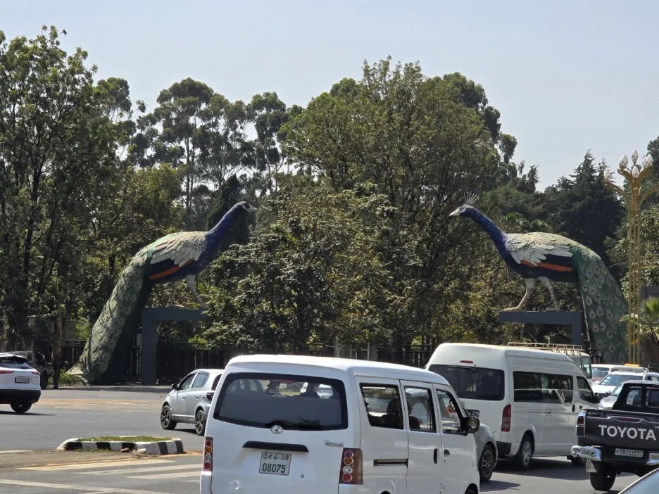 KakaoTalk_20250305_192452583.jpg?type=w1