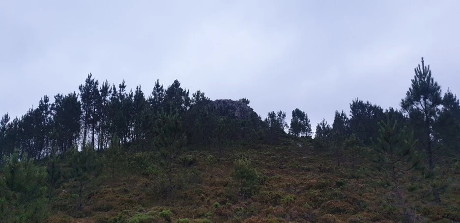 KakaoTalk_20220621_024635626.jpg?type=w1