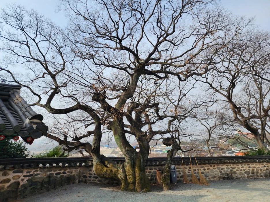 KakaoTalk_20230313_050350703_07.jpg?type=w1