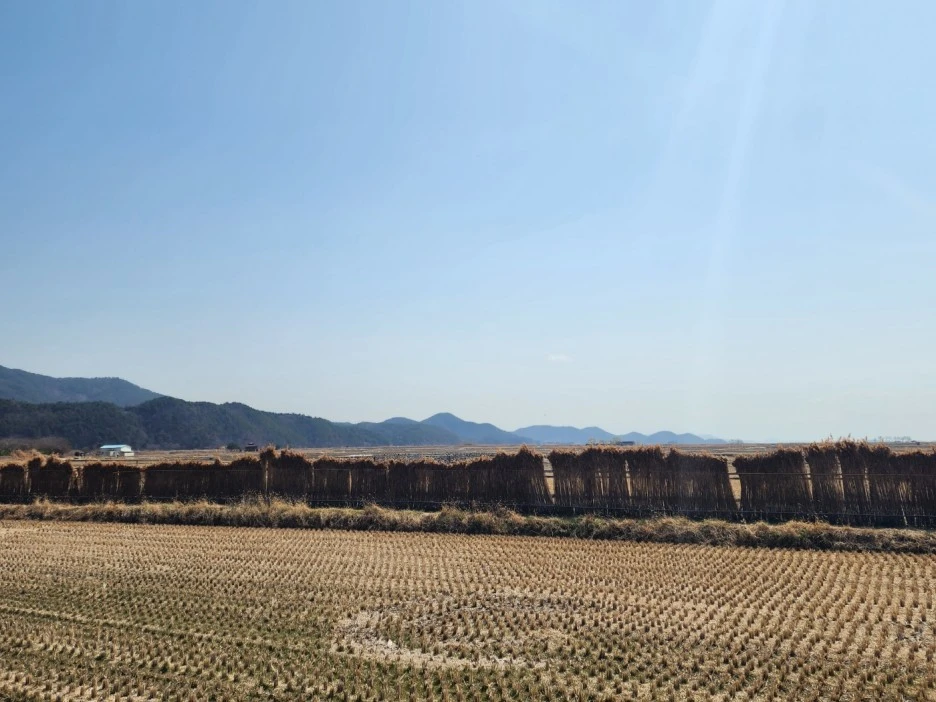 KakaoTalk_20230317_214256268_16.jpg?type=w1