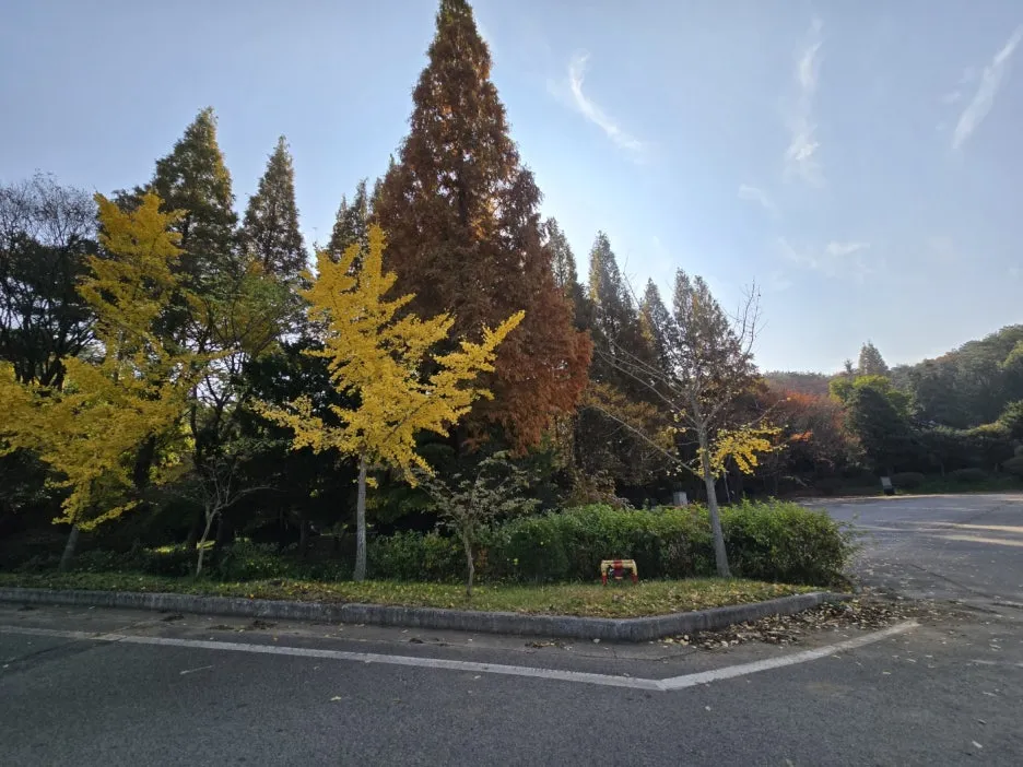 KakaoTalk_20241114_034525994_17.jpg?type=w1