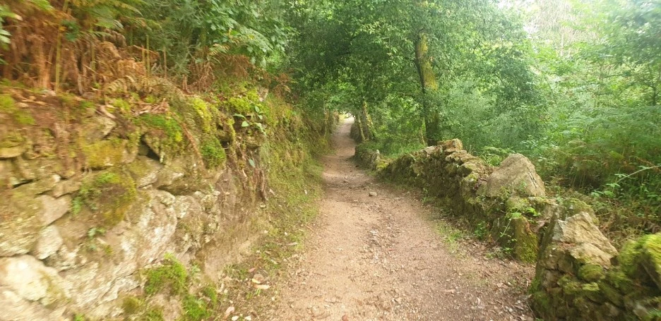 KakaoTalk_20220621_020741198_05.jpg?type=w1