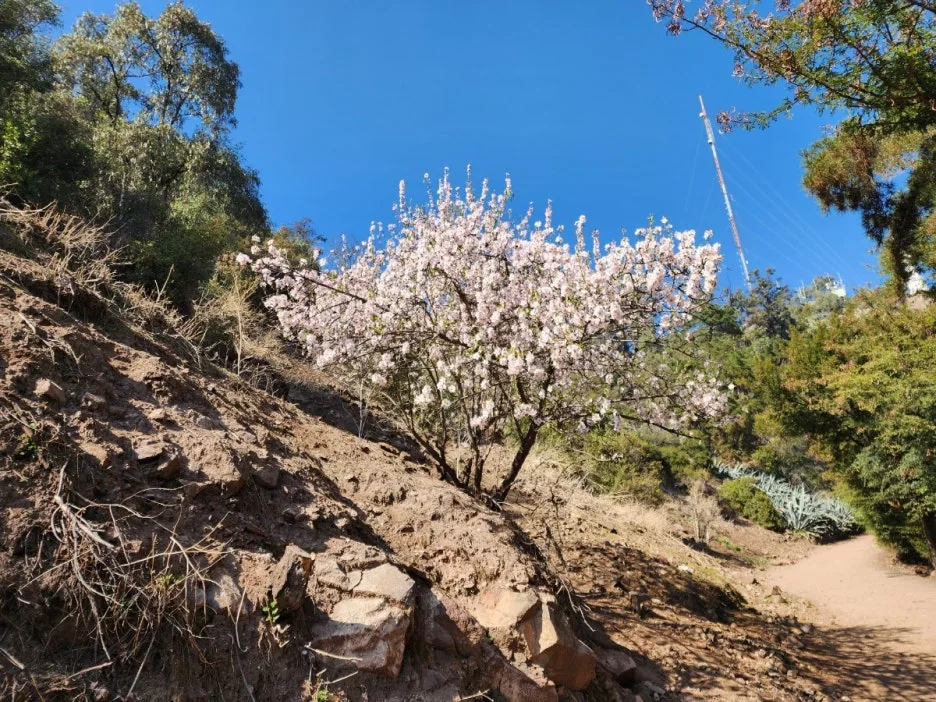 KakaoTalk_20240726_173909105_09.jpg?type=w1