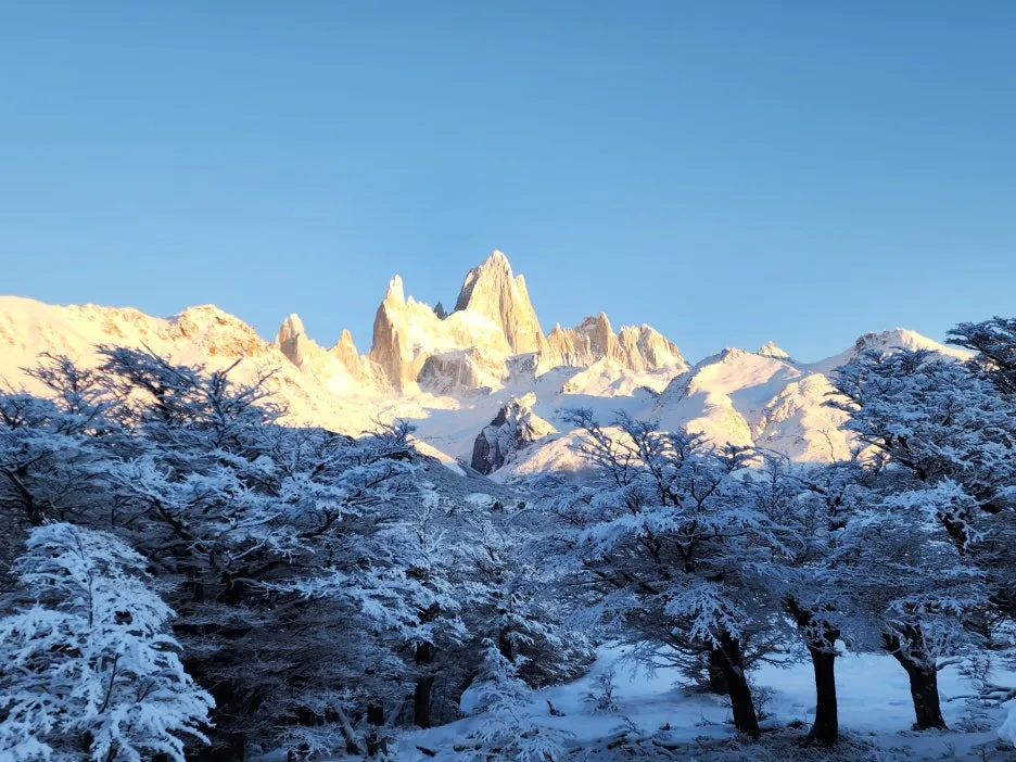 KakaoTalk_20251216_102532624_12.jpg?type=w1