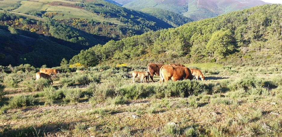 KakaoTalk_20220608_014443366_06.jpg?type=w1