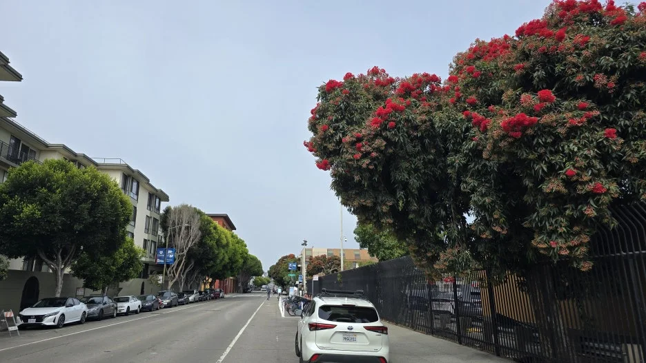 KakaoTalk_20250818_202419132_16.jpg?type=w1