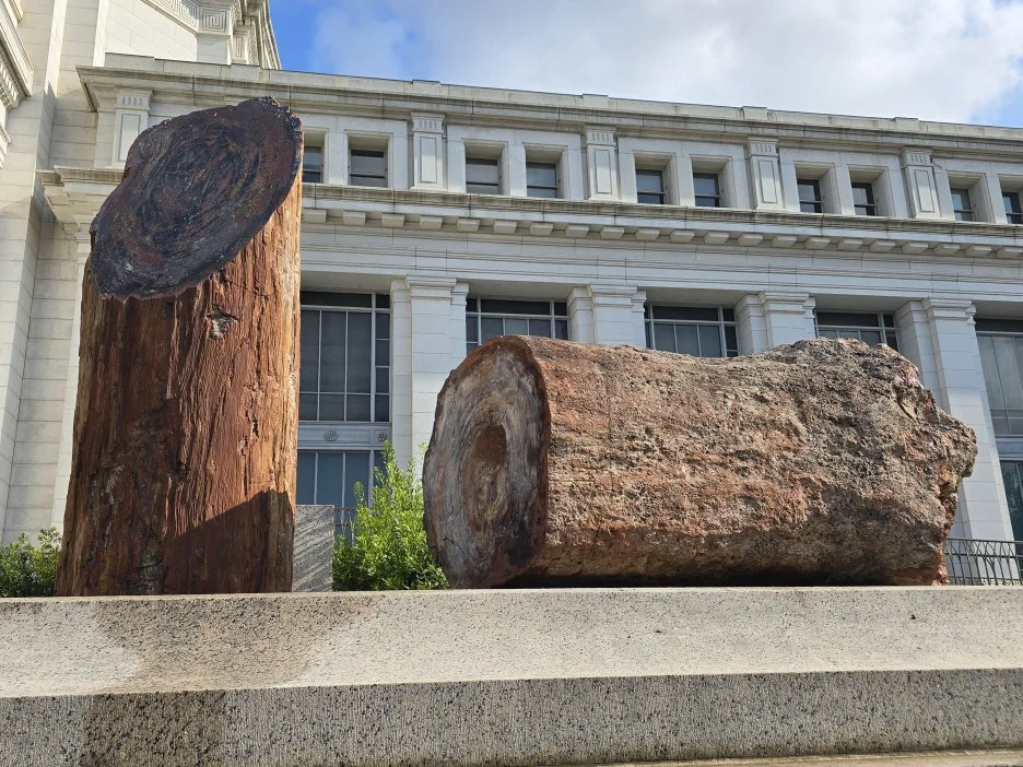 KakaoTalk_20250809_054956363_22.jpg?type=w1