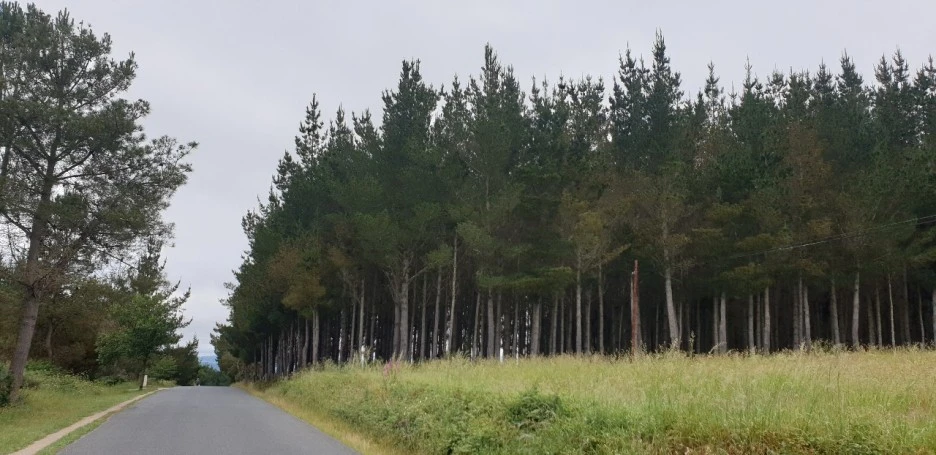 KakaoTalk_20220611_193638292_01.jpg?type=w1