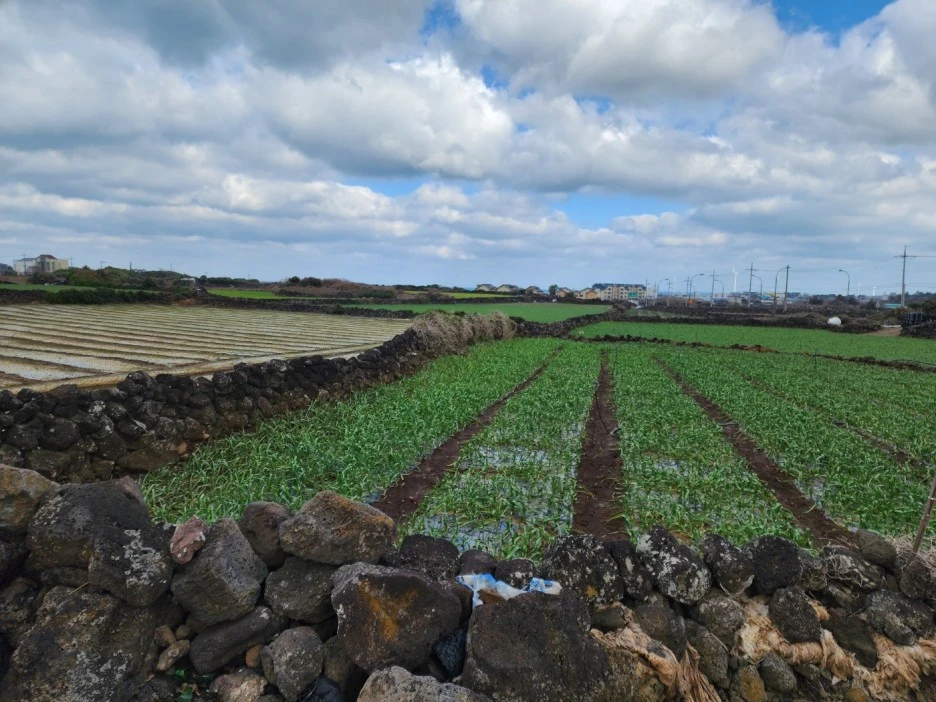 KakaoTalk_20221229_212156584_12.jpg?type=w1